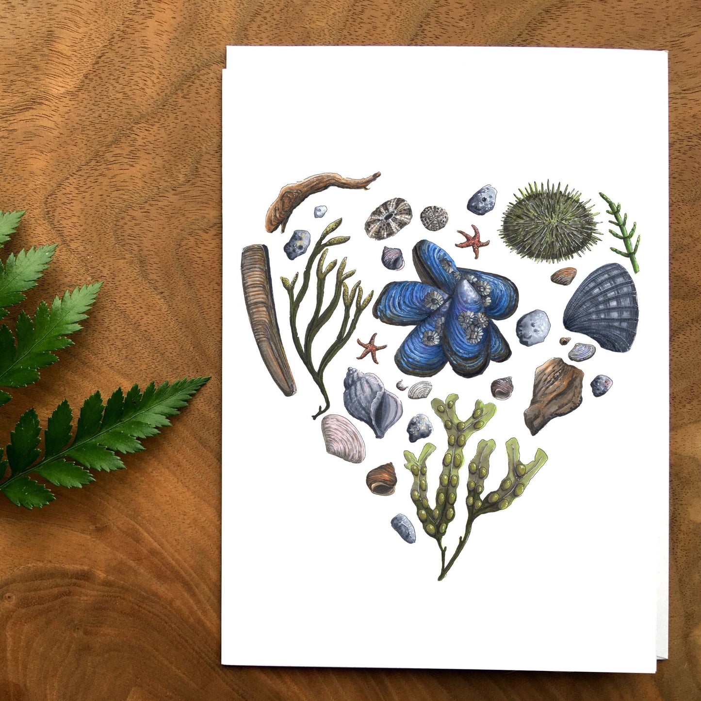 Map - Heart of the Estuary