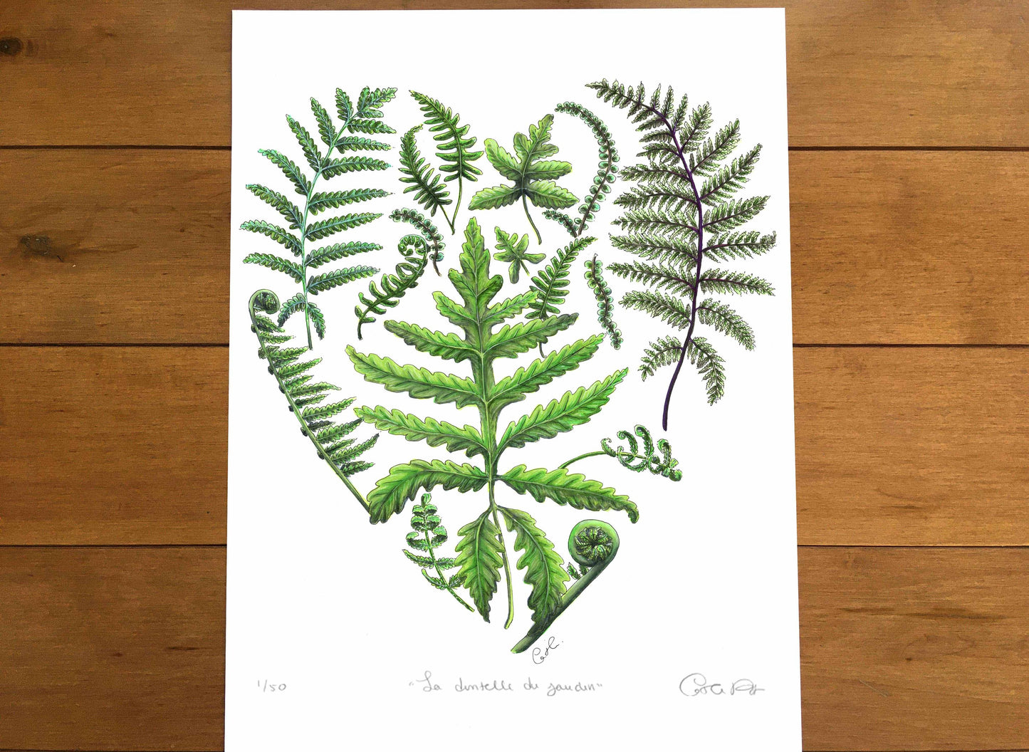 Large Art Print - Garden Lace