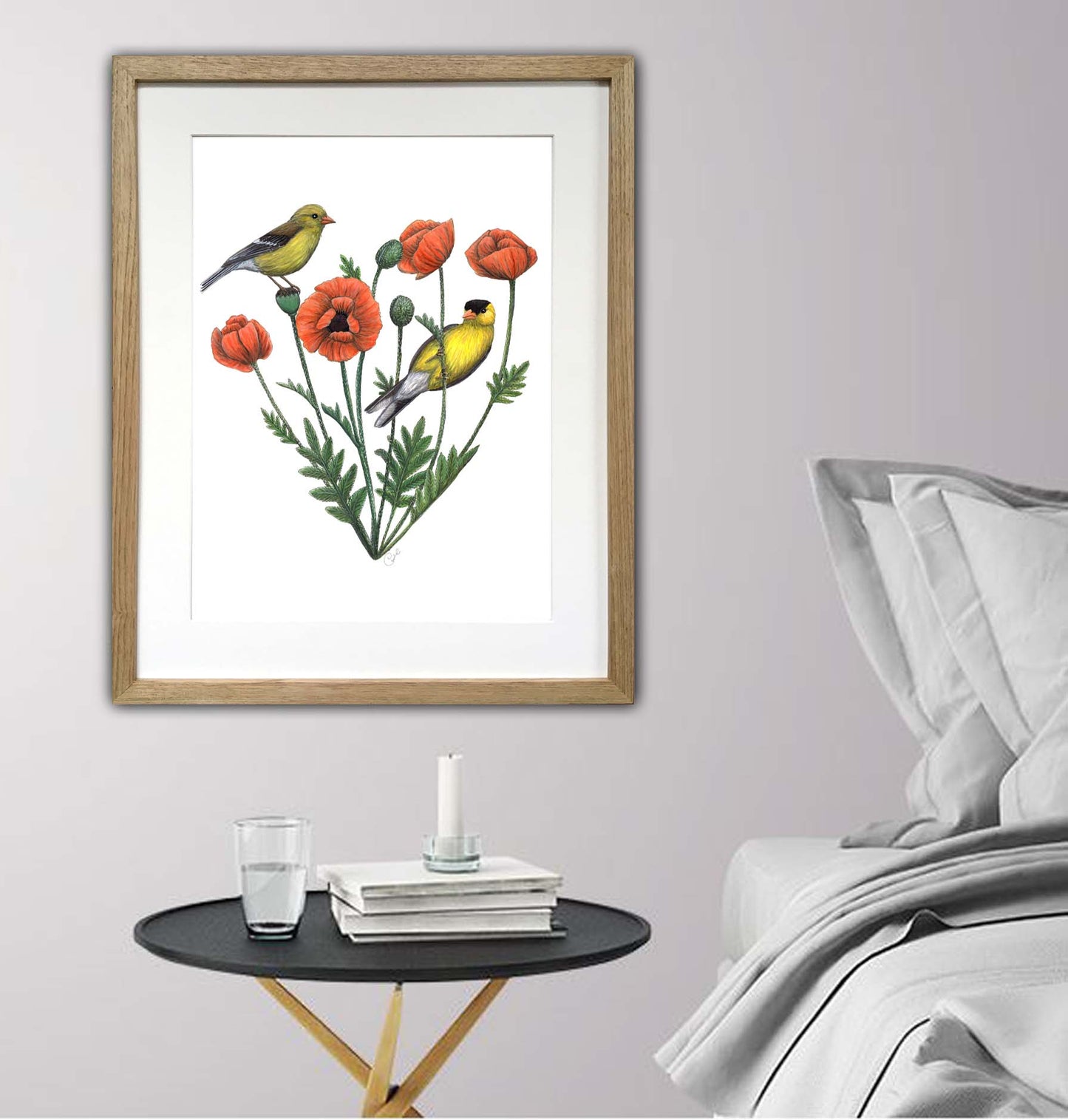 Illustration botanique ou animalière sur papier