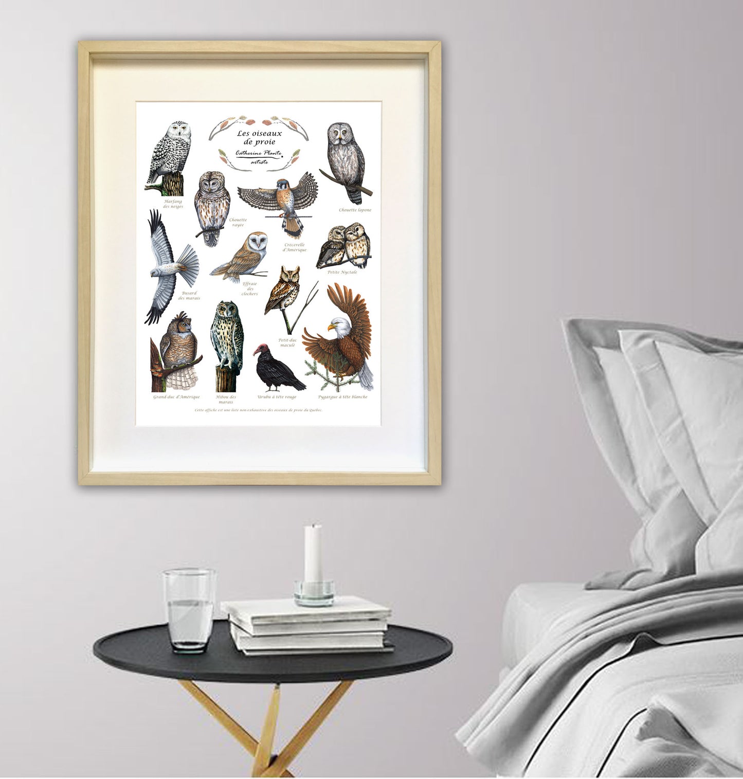 Educational Poster - Birds of Prey