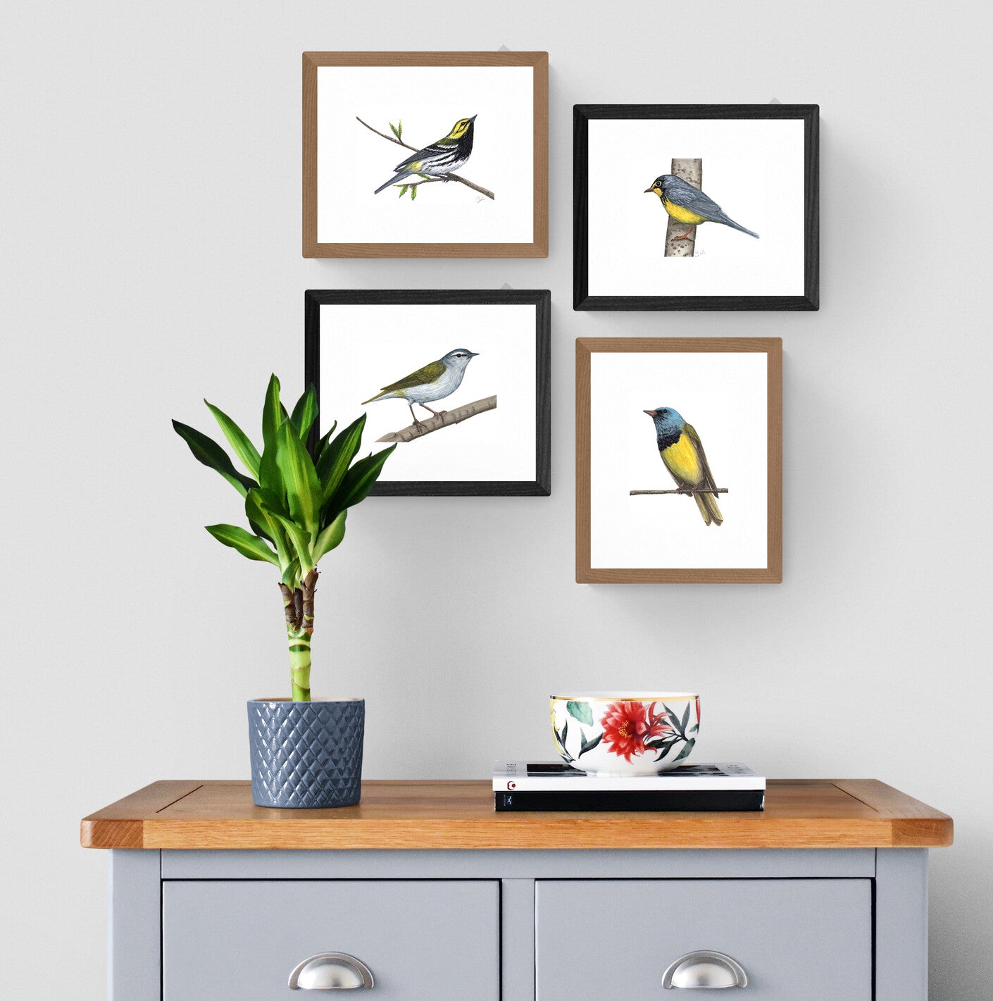 Petites illustrations originales - Choix de quatre illustrations de parulines