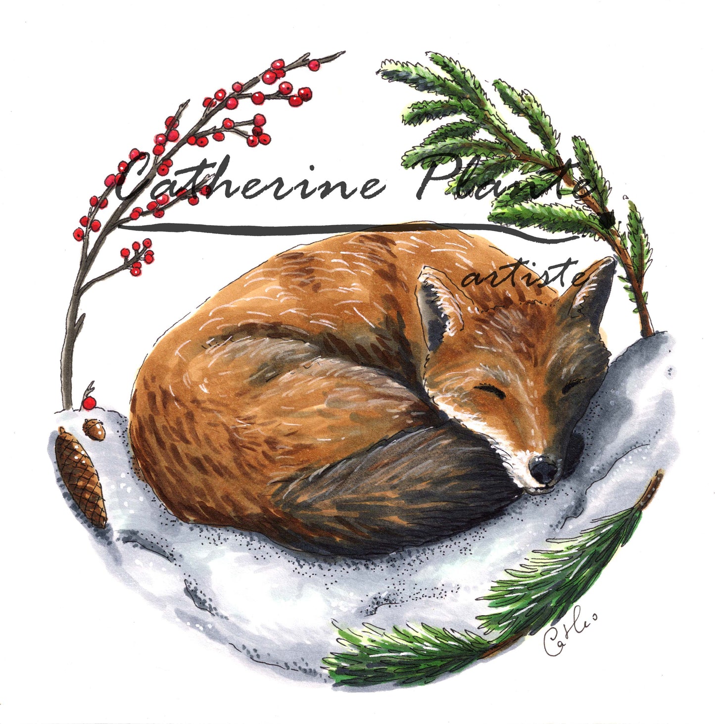 Carte - Sommeil hivernal du renard