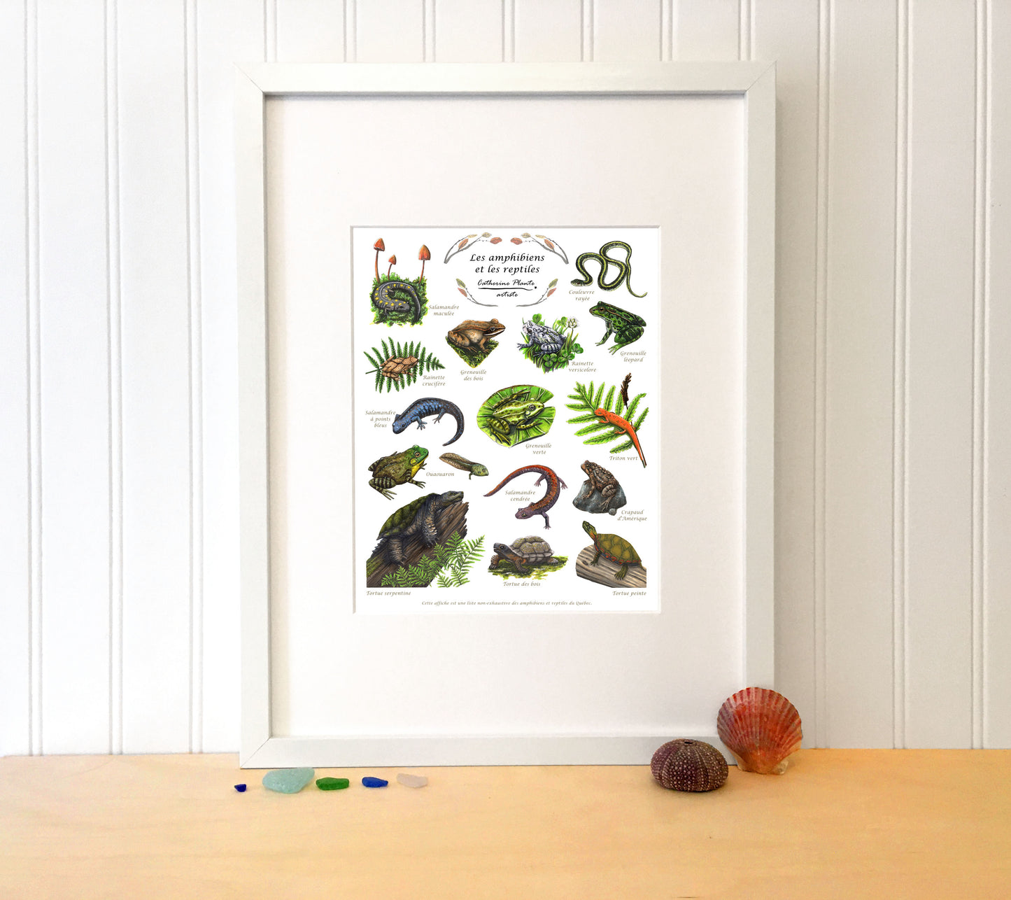Affiche éducative - Les amphibiens et les reptiles