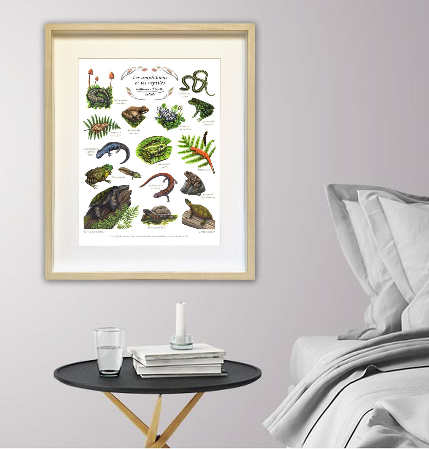 Affiche éducative - Les amphibiens et les reptiles