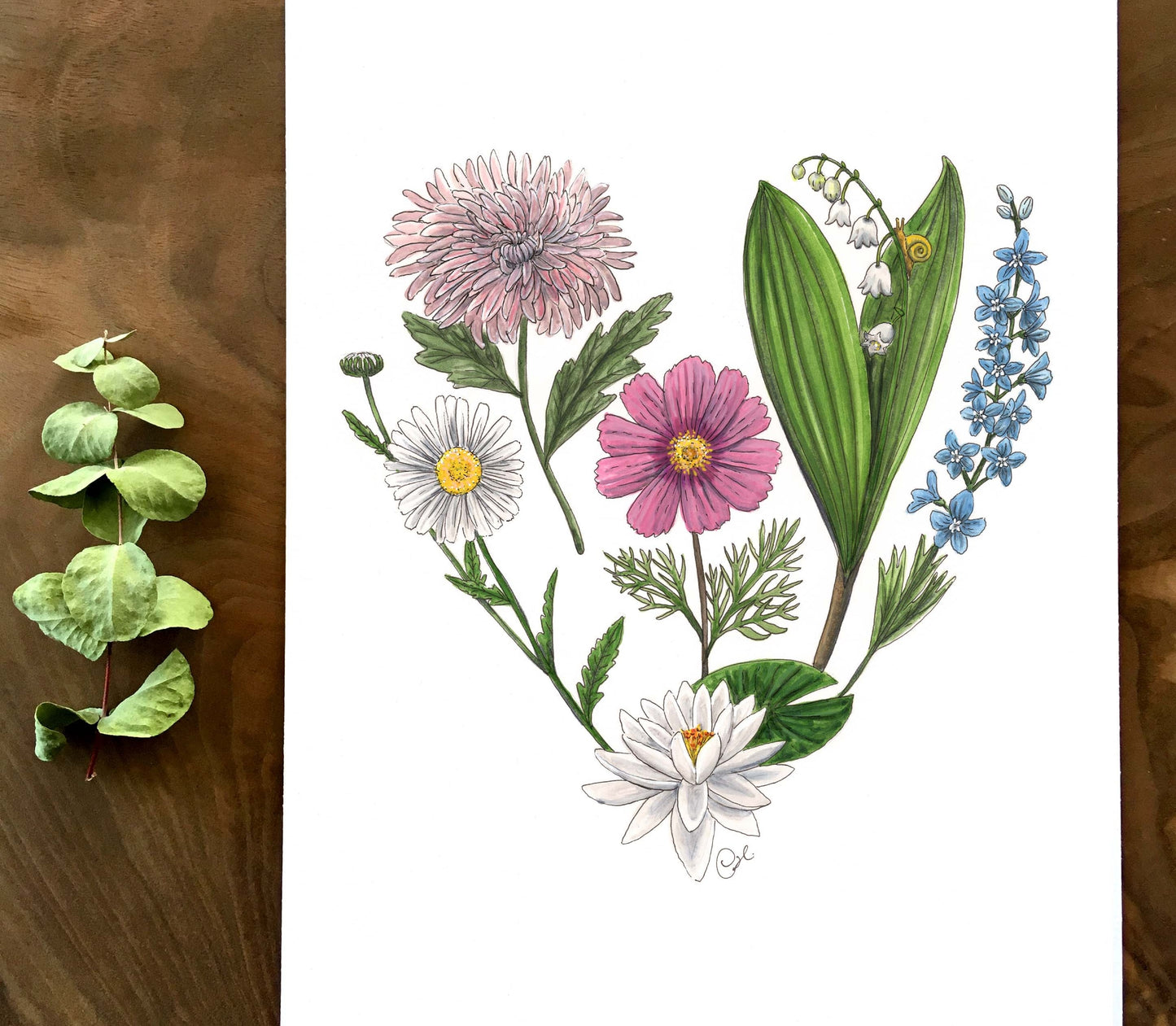 Illustration of birth flowers on paper