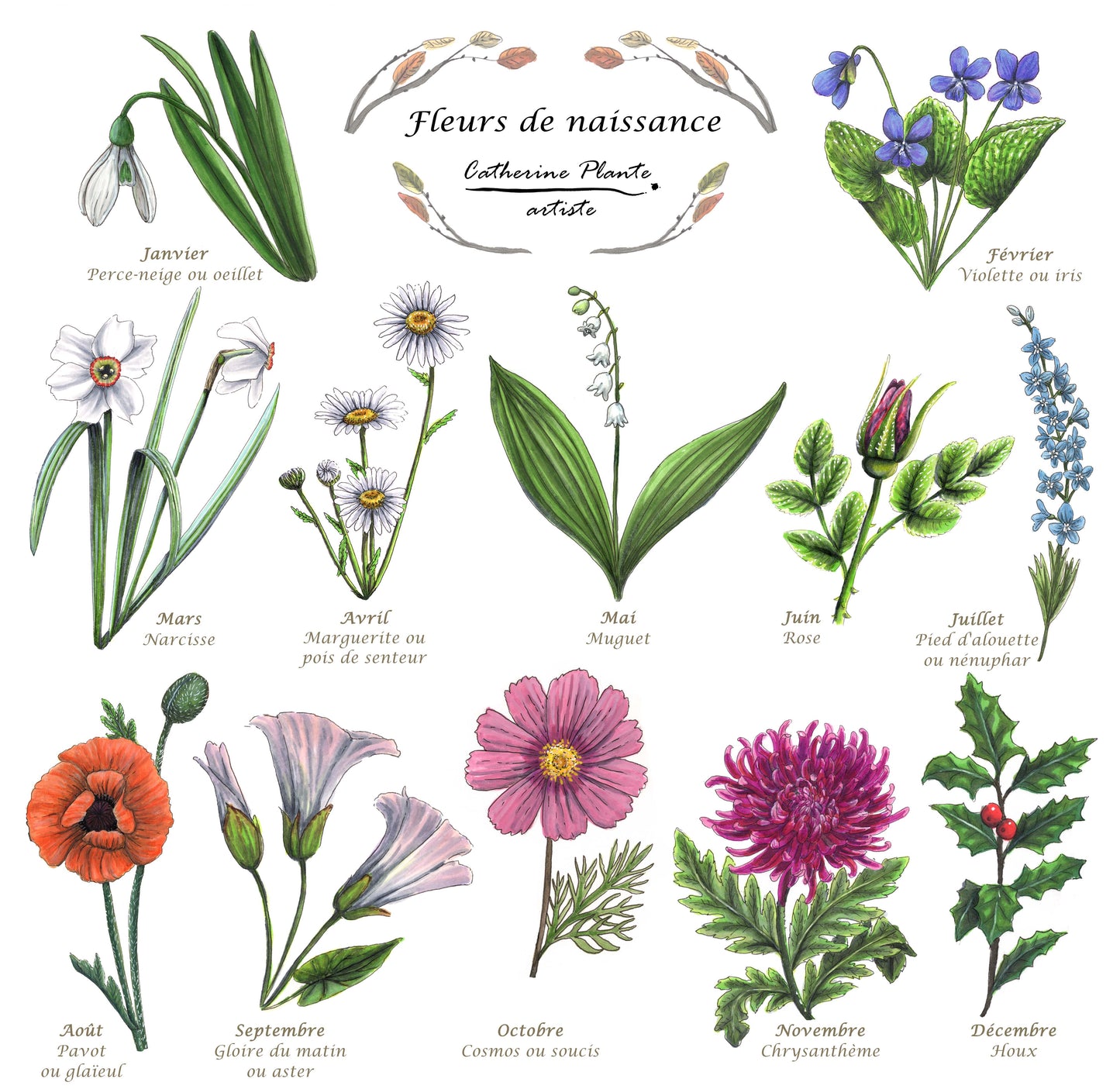 Illustration of birth flowers on paper