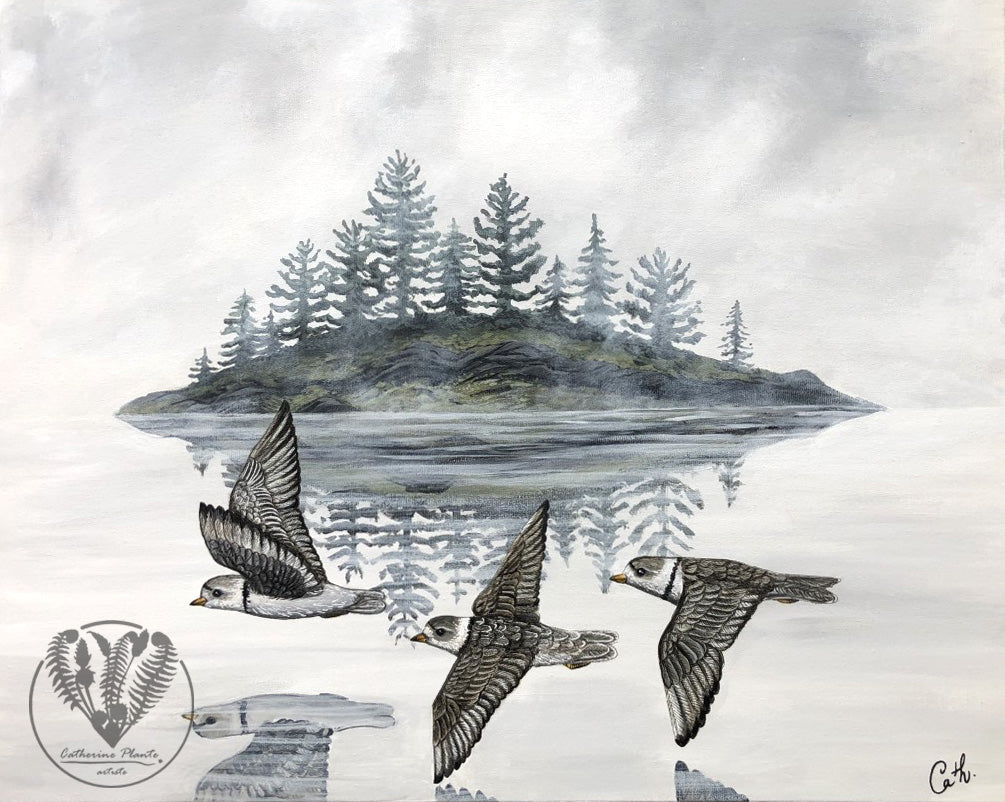 Peinture originale - Les pluviers de l'île