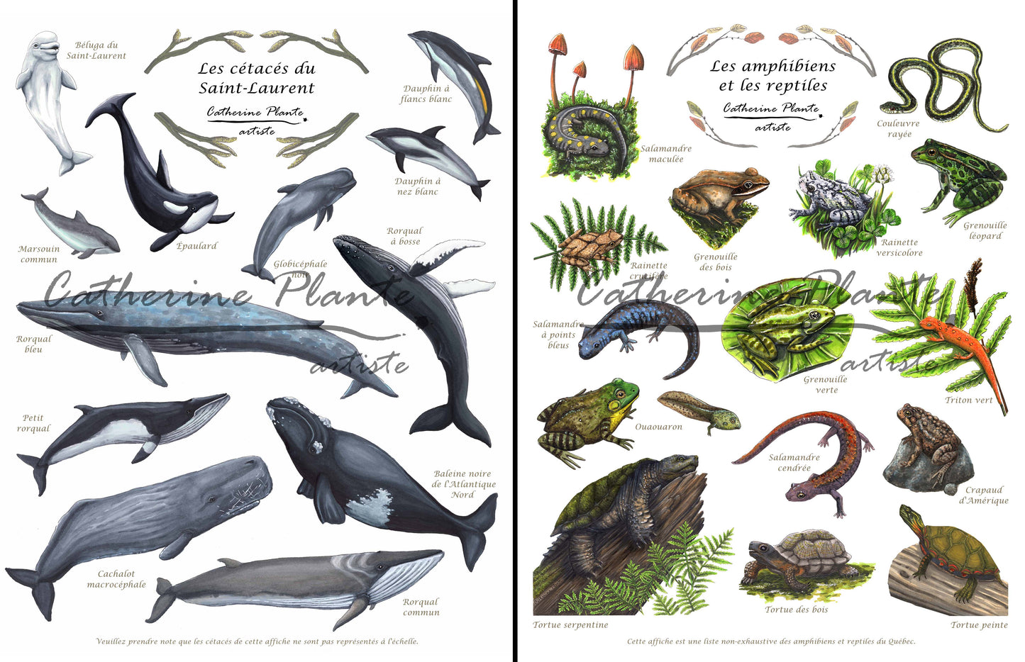 Triptyque d'affiches éducatives