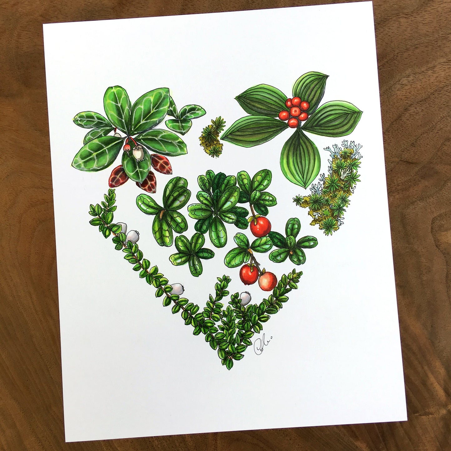 Illustration originale - Coeur de fruits sauvages