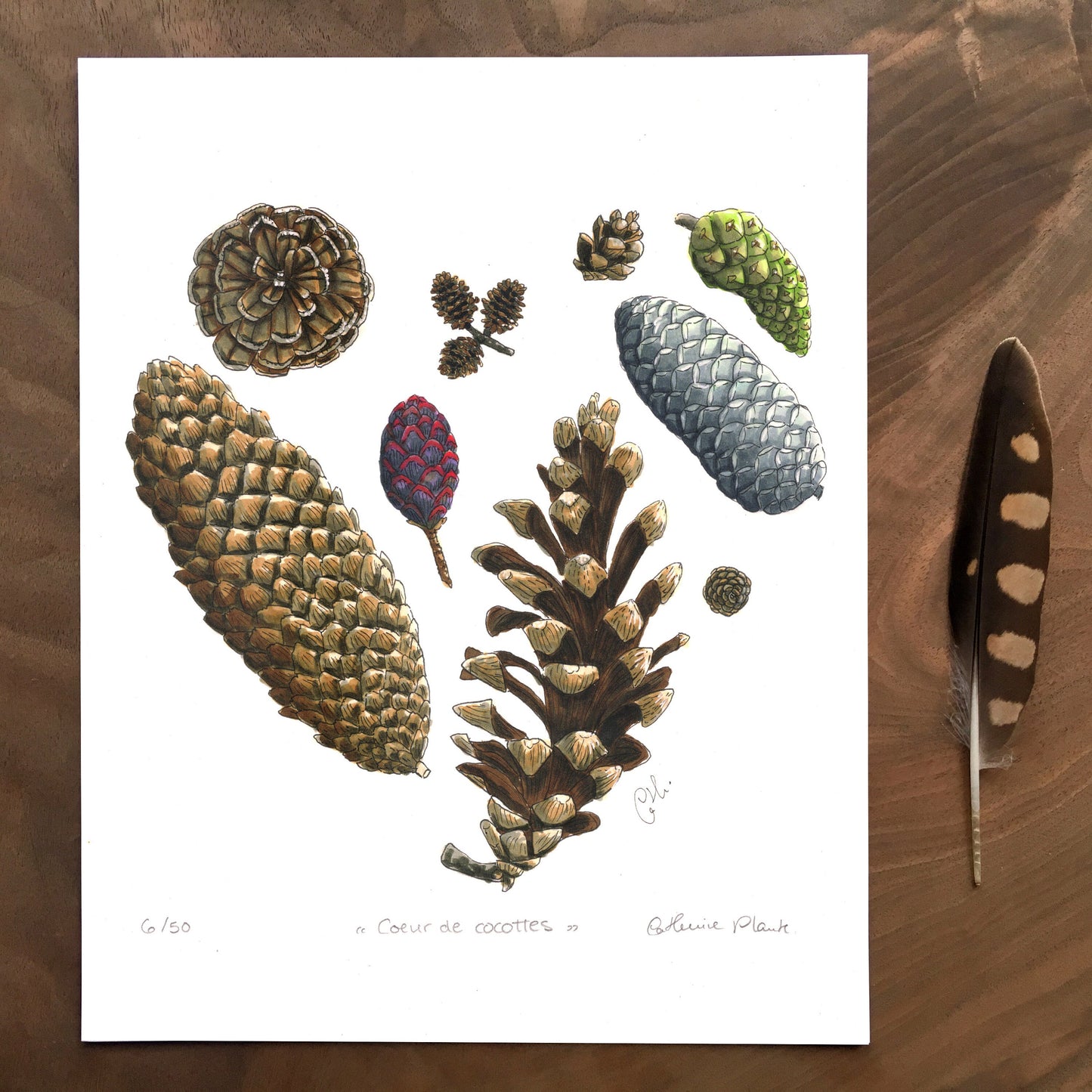 Impression d'art - Coeur de cocottes