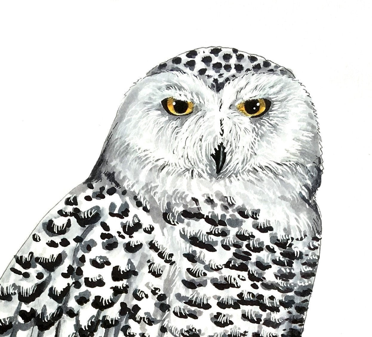 Impression d'art - Harfang des neiges