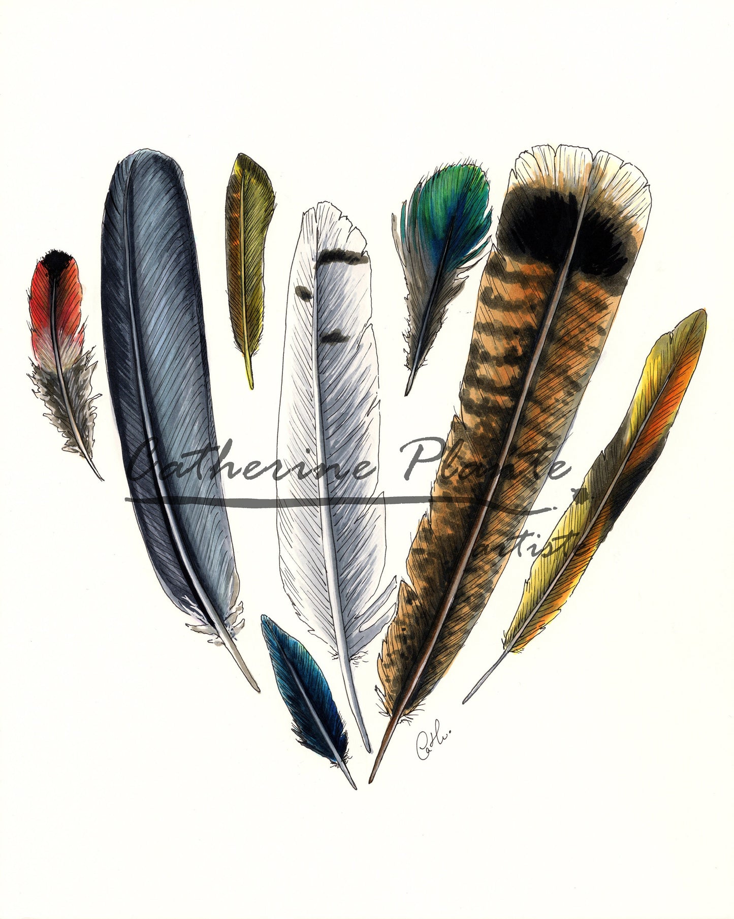 Art Print - Heart of Feathers