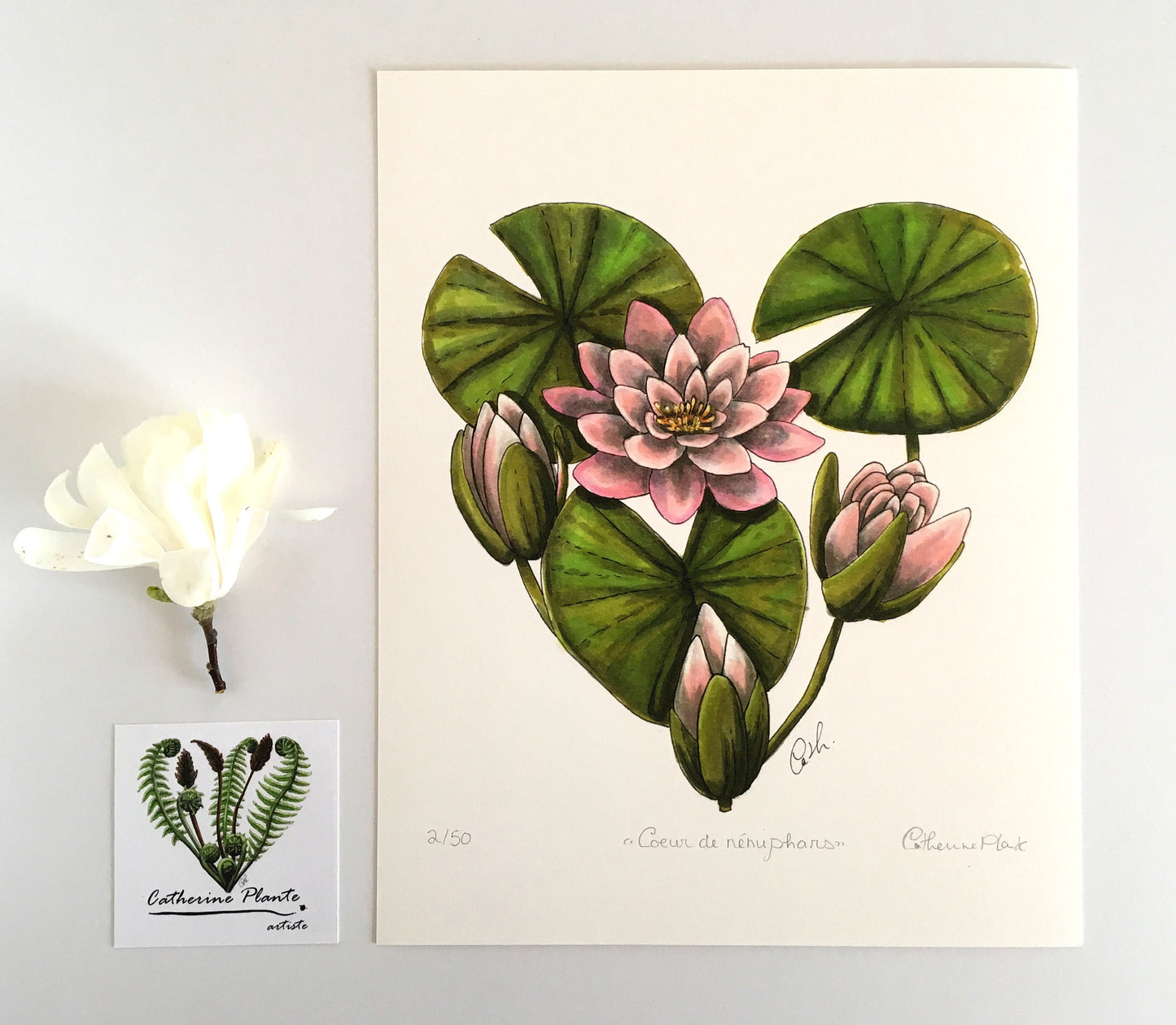 Art Print - Water Lily Heart