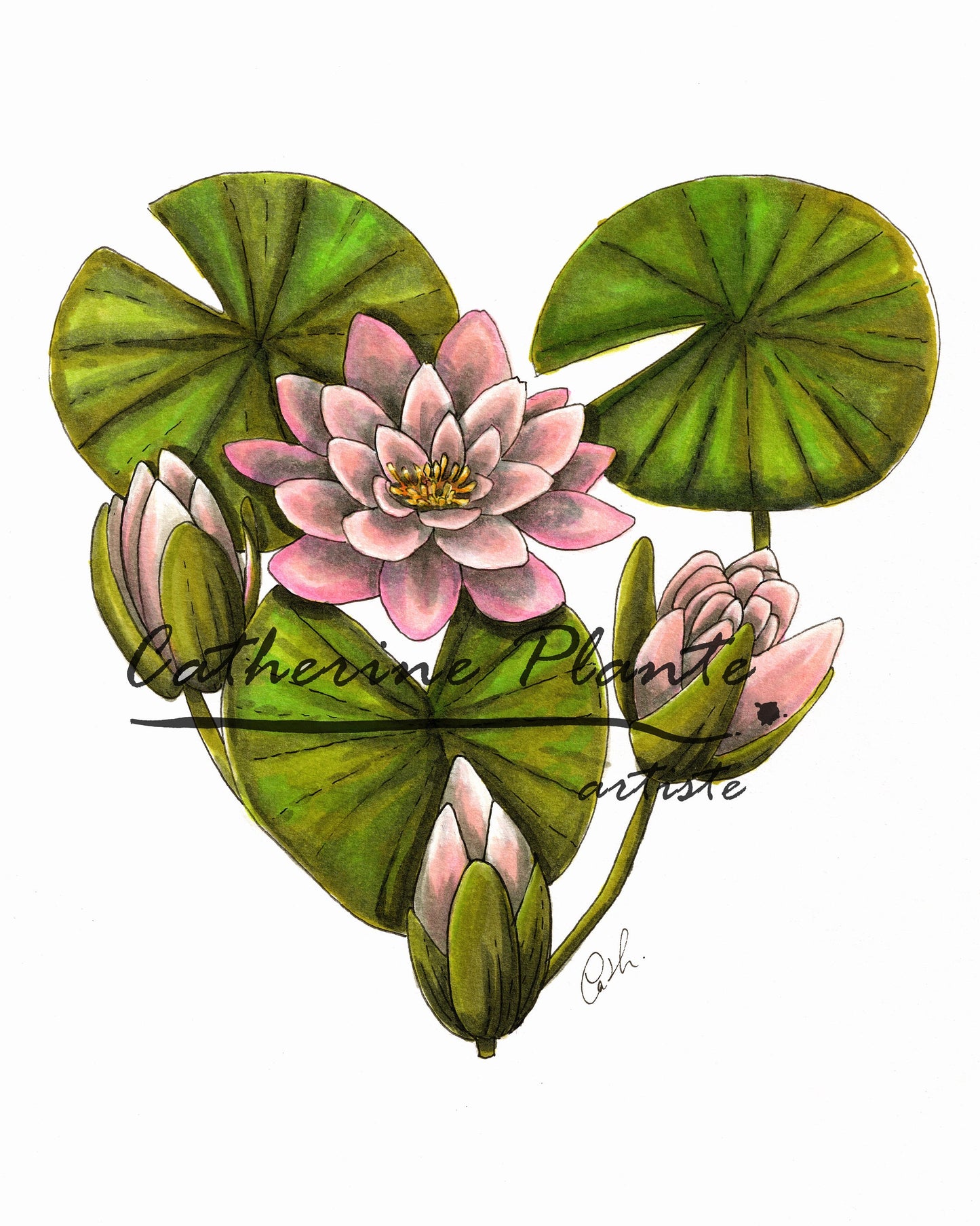 Art Print - Water Lily Heart