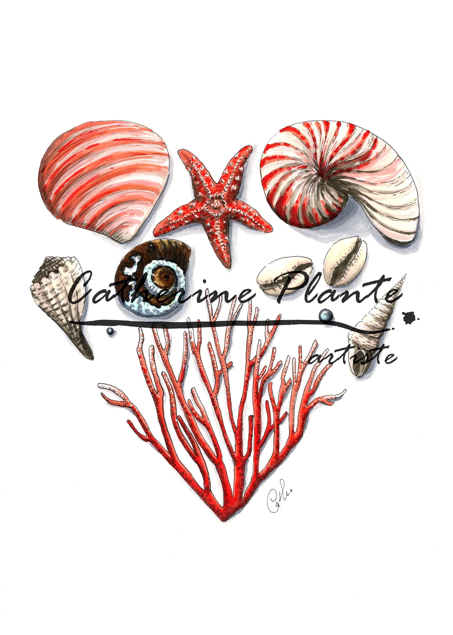 Map - Coral Heart