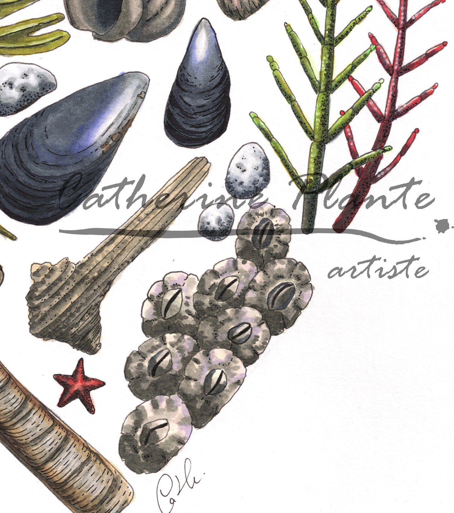 Impression d'art - Cœur de Bas-St-Laurent