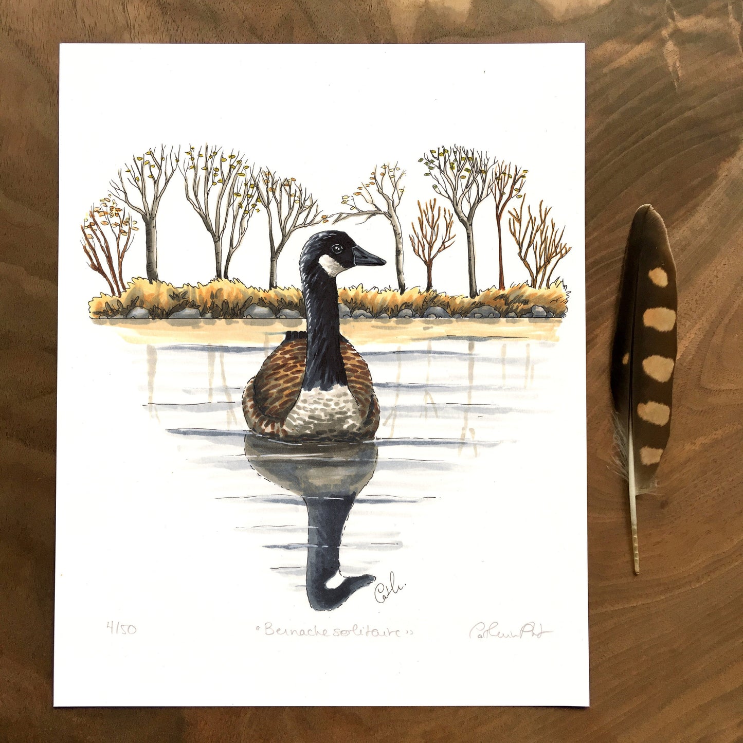 Impression d'art - Bernache solitaire