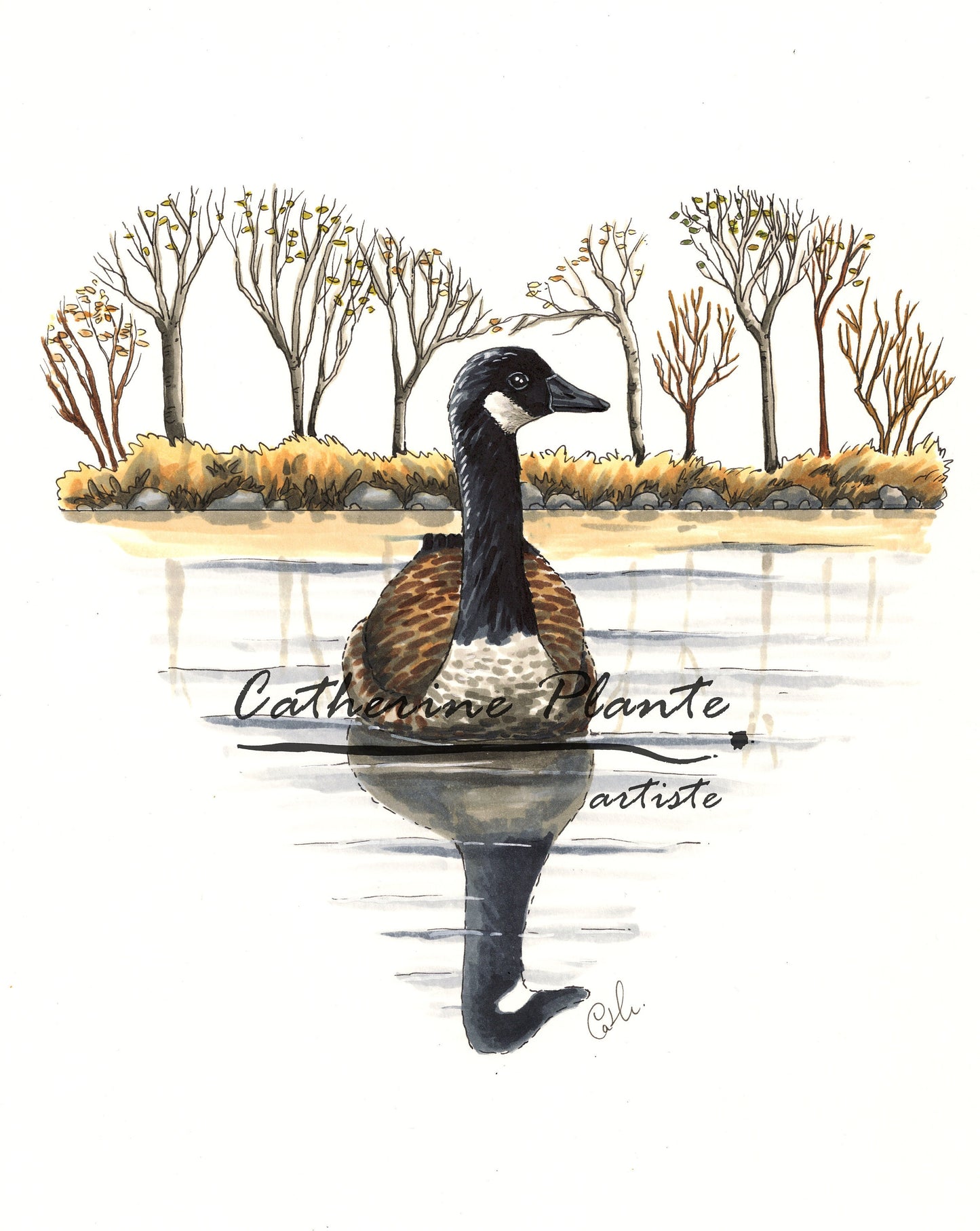 Impression d'art - Bernache solitaire