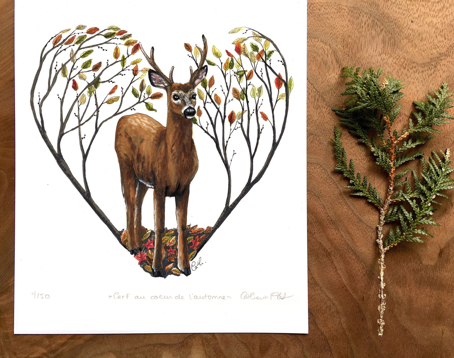 Art Print - Deer in the Heart of Autumn