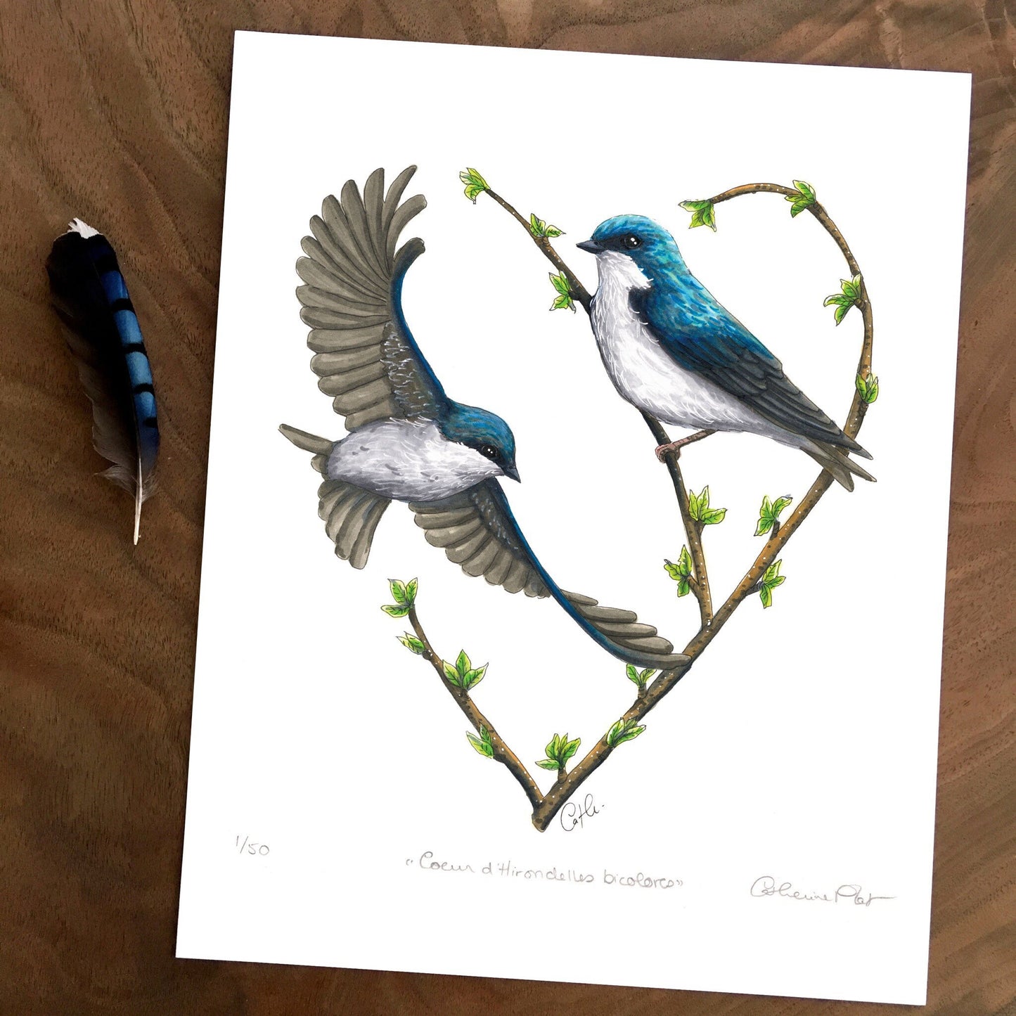 Art Print - Two-Tone Swallow Heart