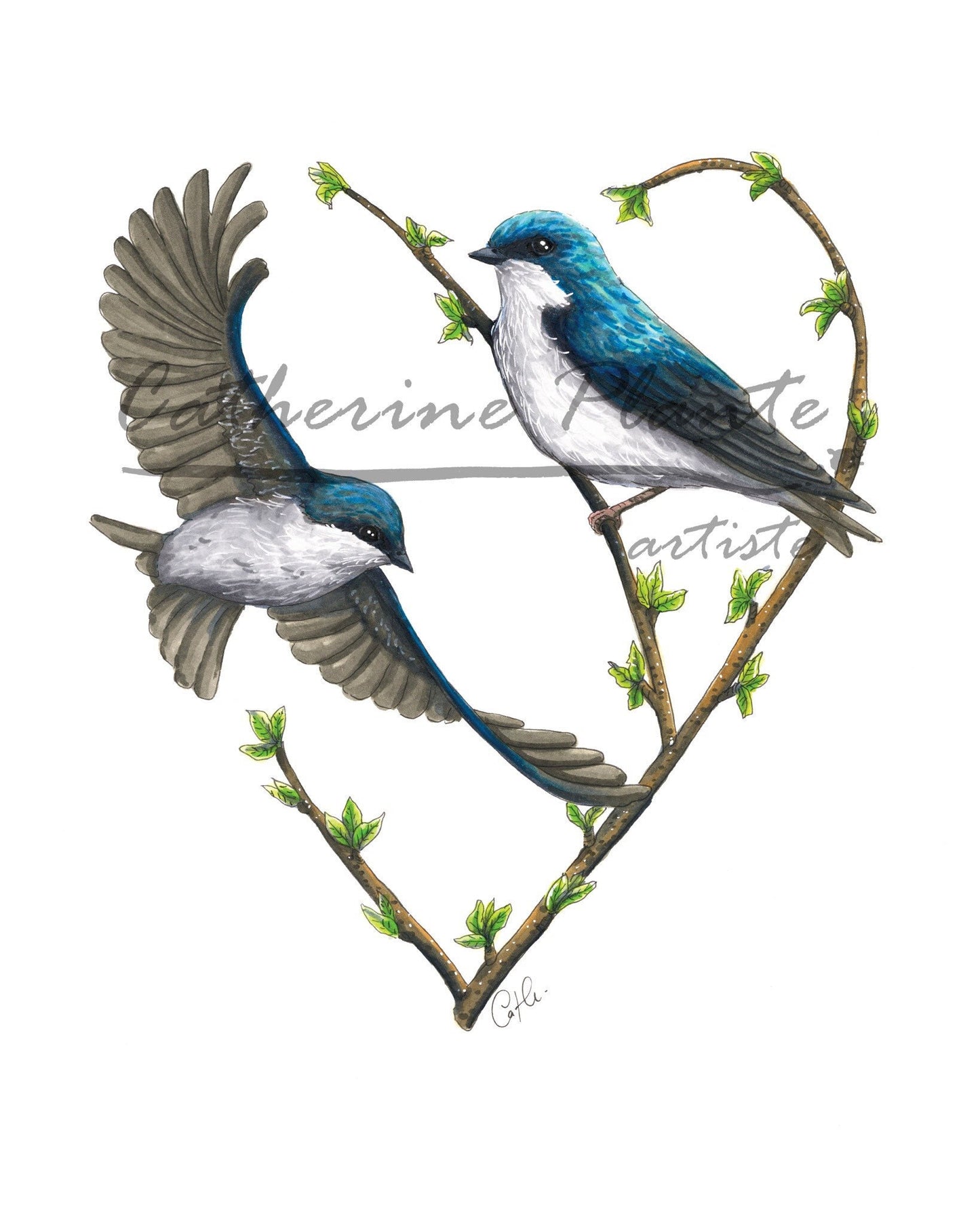 Art Print - Two-Tone Swallow Heart