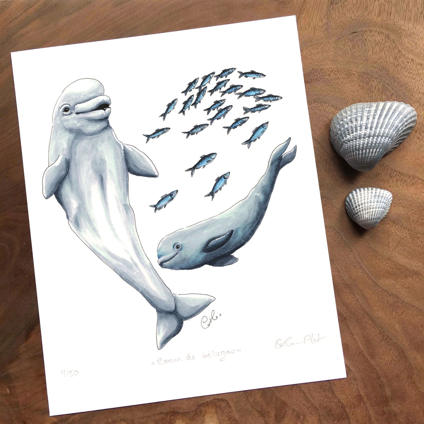 Impression d'art - Coeur de bélugas
