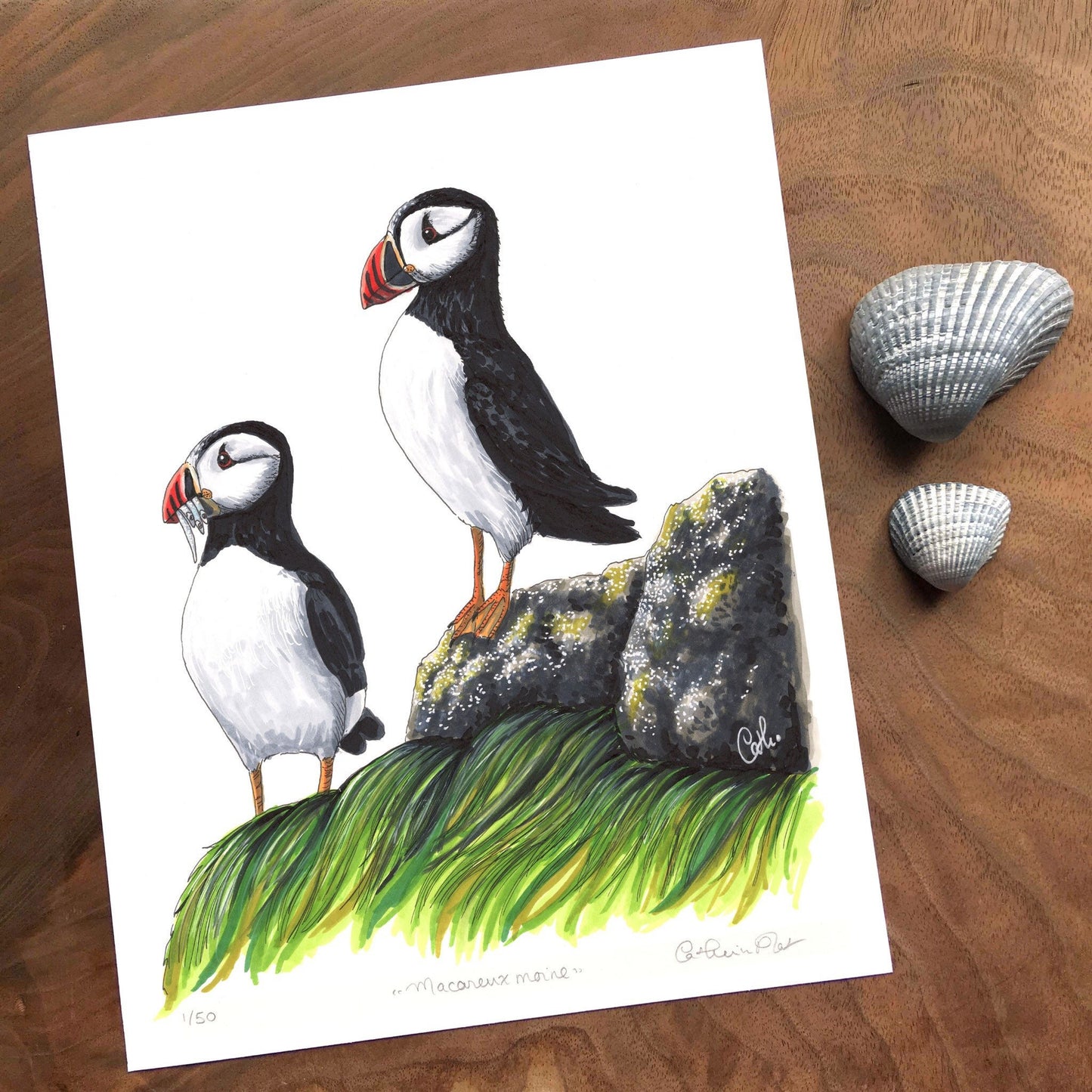 Art Print - Puffin