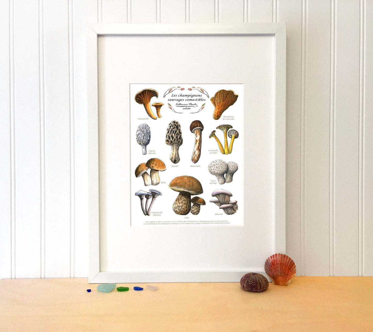Affiche éducative - Les champignons sauvages comestibles