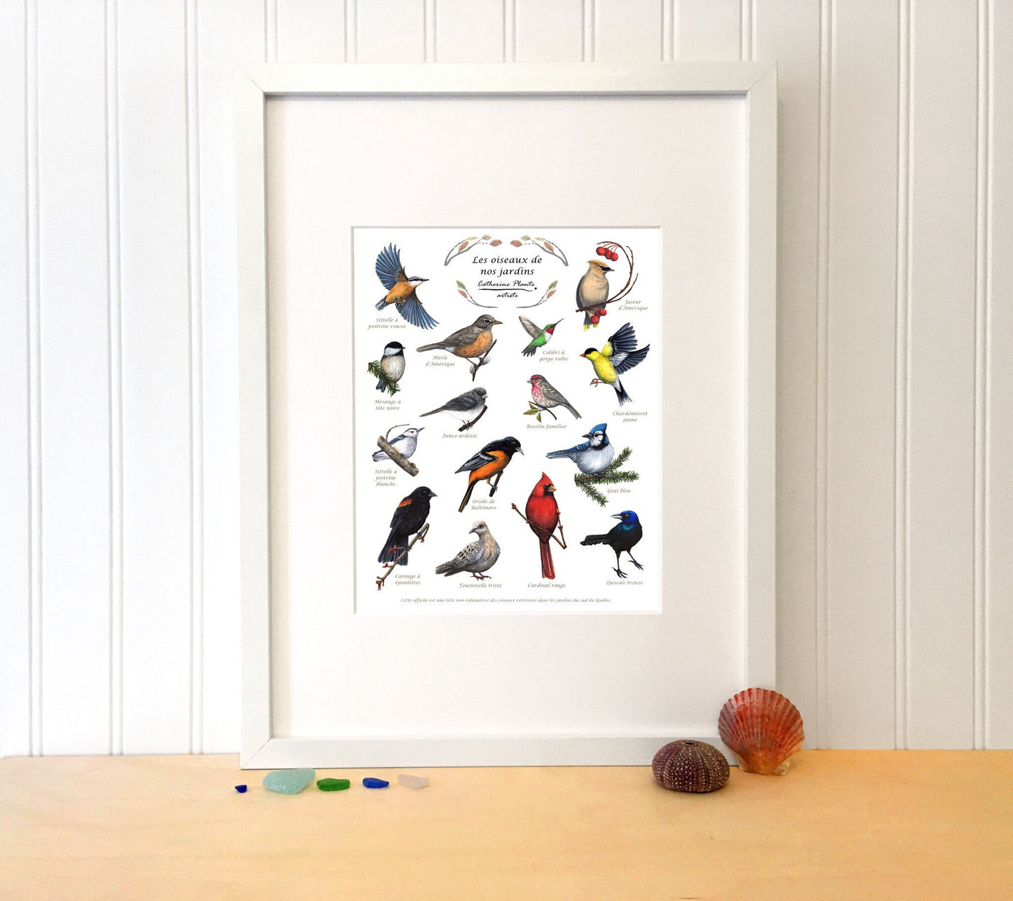 Educational poster - Birds in our gardens