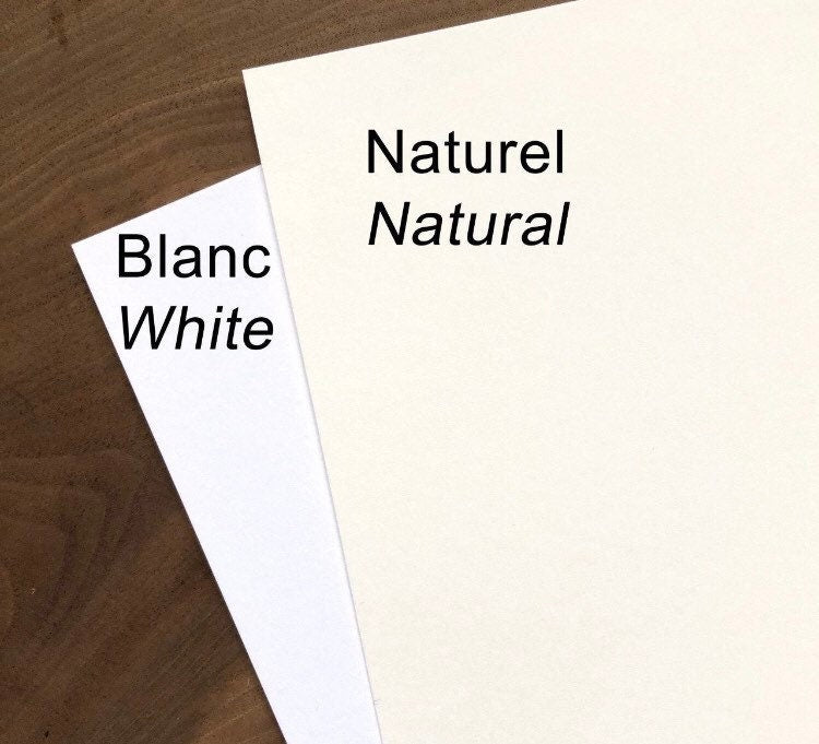 Affiche éducative - Les fleurs de sous-bois