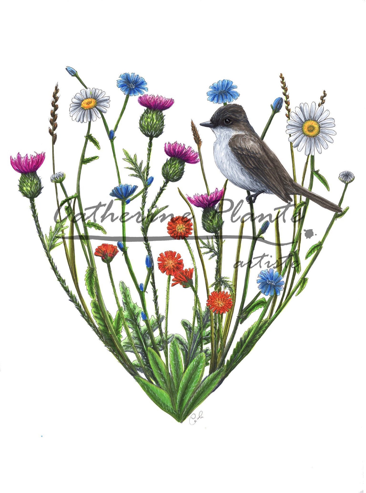 Large Art Print - Flycatcher and Wildflowers