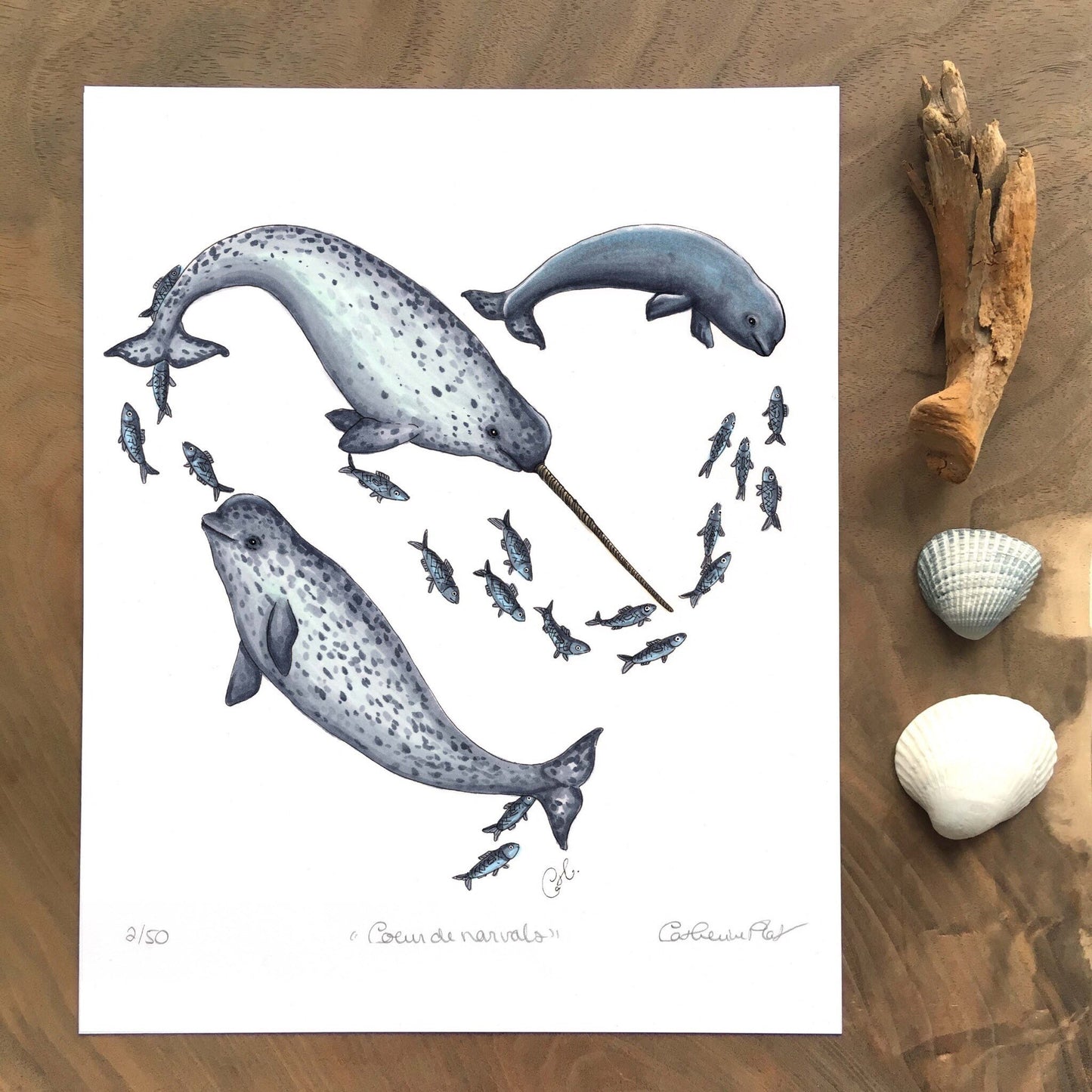 Art Print - Narwhal Heart