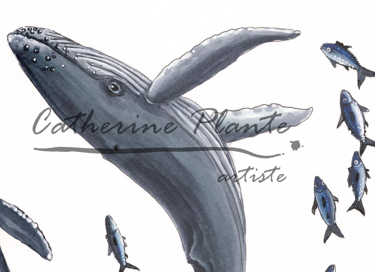 Impression d'art - Cœur de baleines
