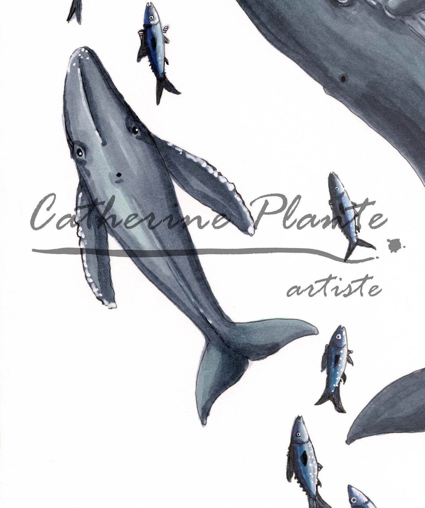 Impression d'art - Cœur de baleines