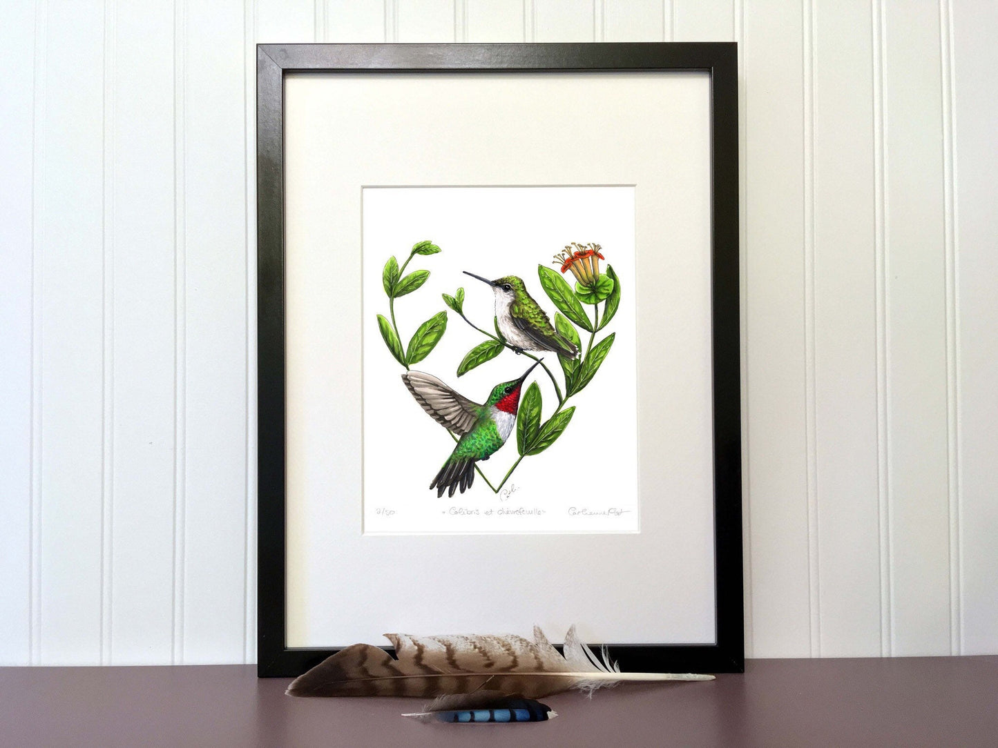 Impression d'art - Colibris et chèvrefeuille