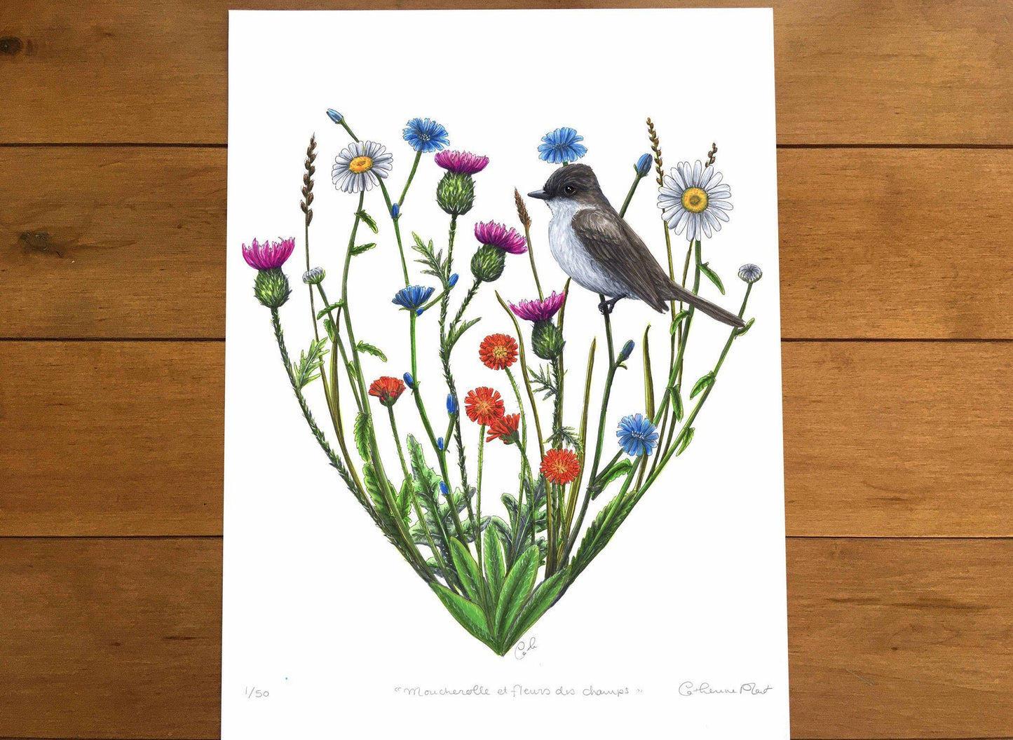 Large Art Print - Flycatcher and Wildflowers