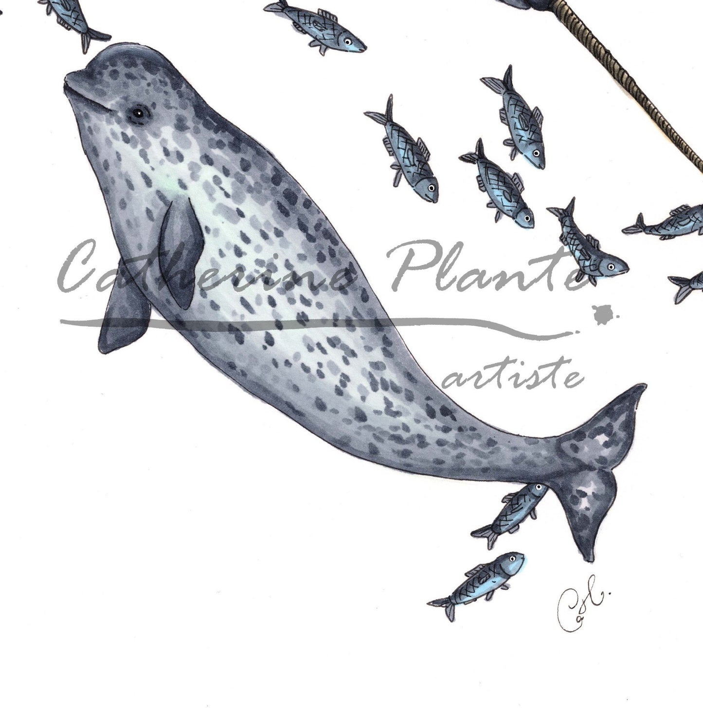 Art Print - Narwhal Heart