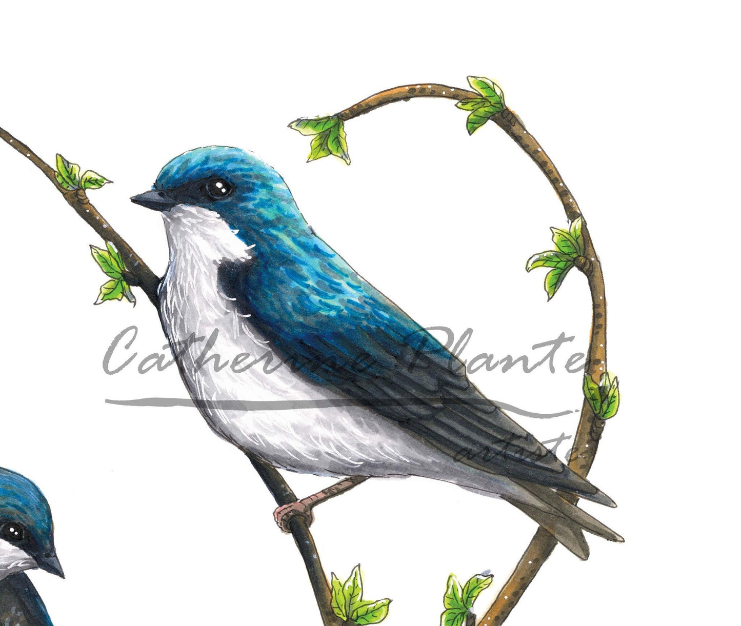 Art Print - Two-Tone Swallow Heart