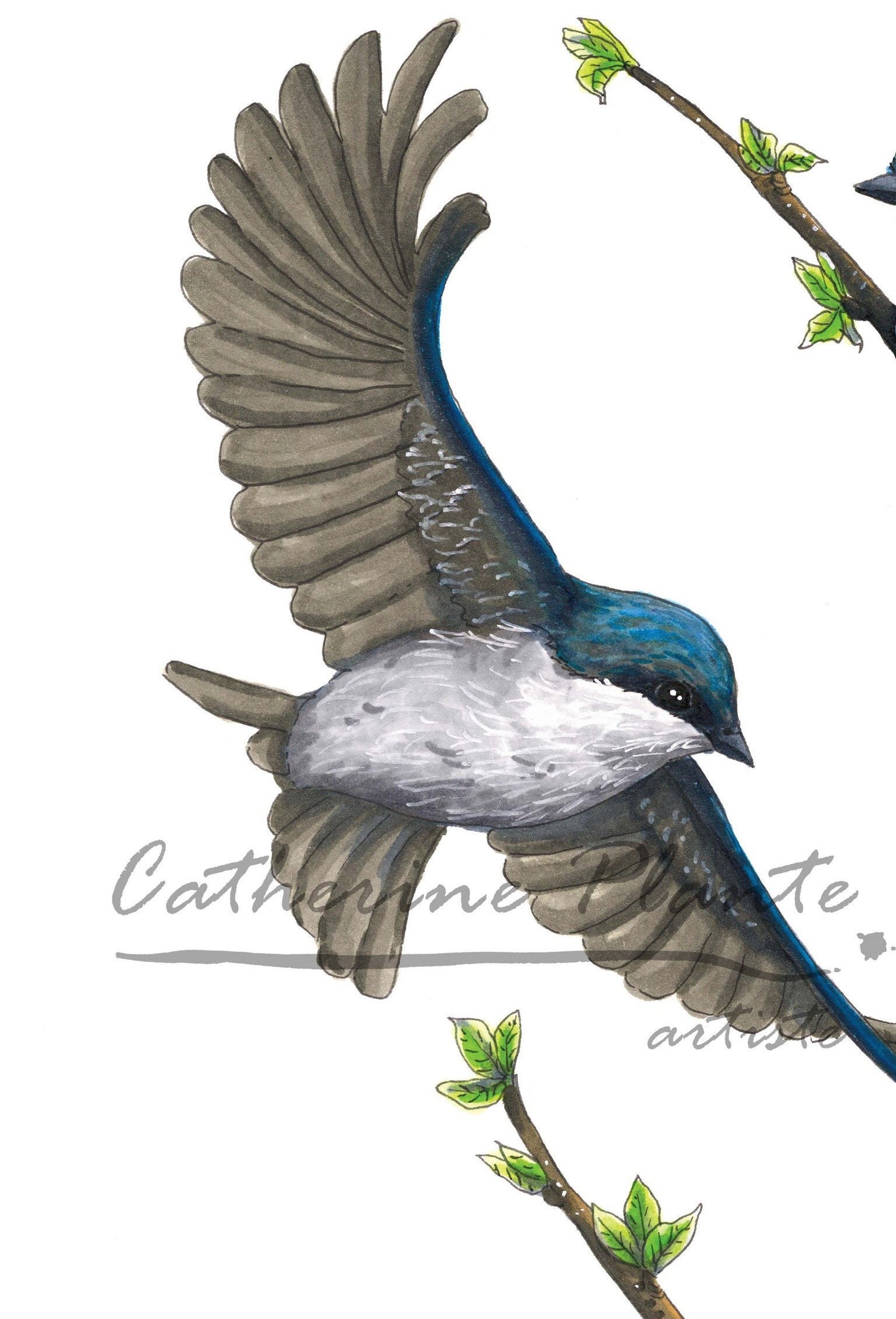 Art Print - Two-Tone Swallow Heart