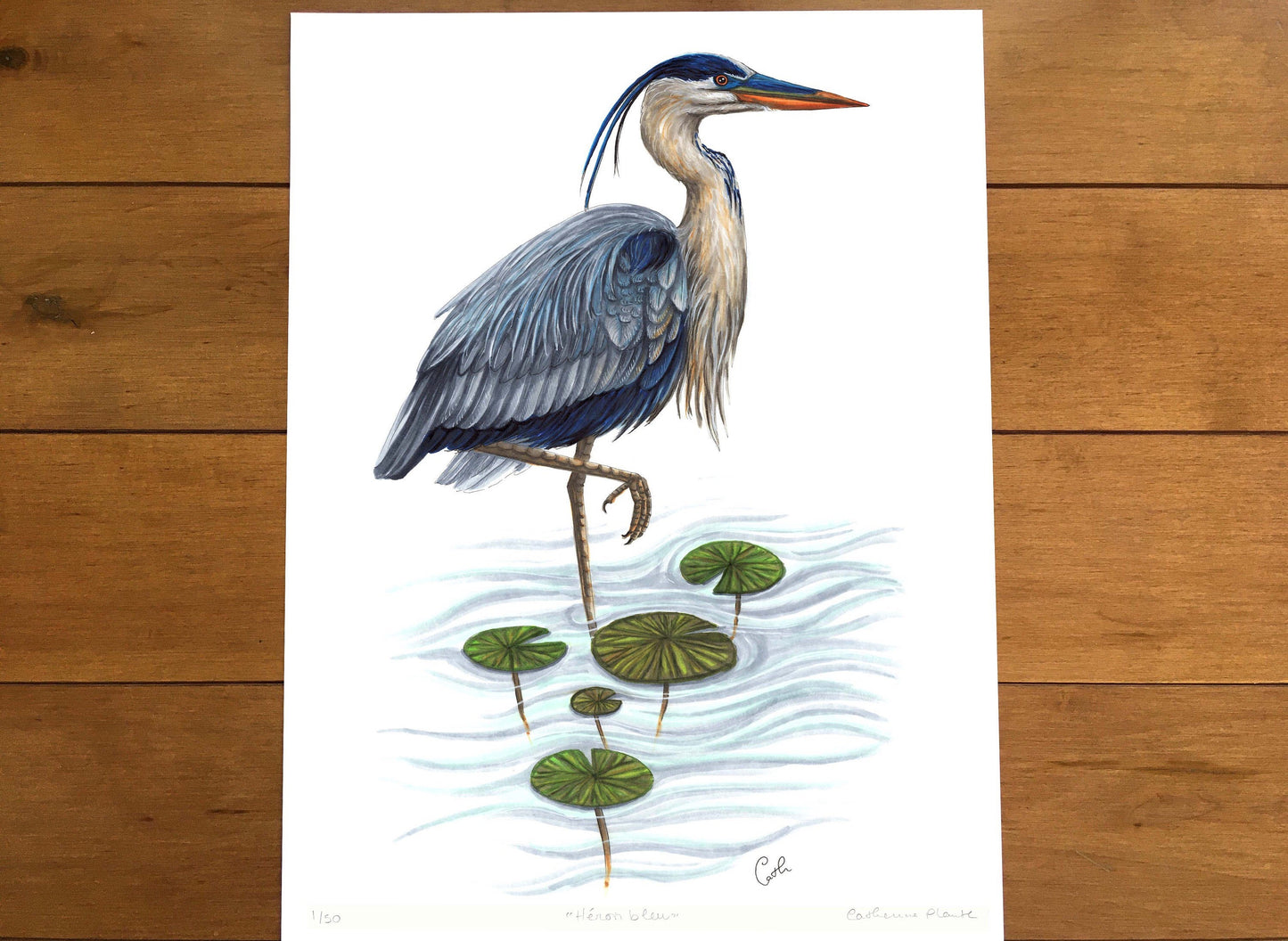 Large Art Print - Blue Heron