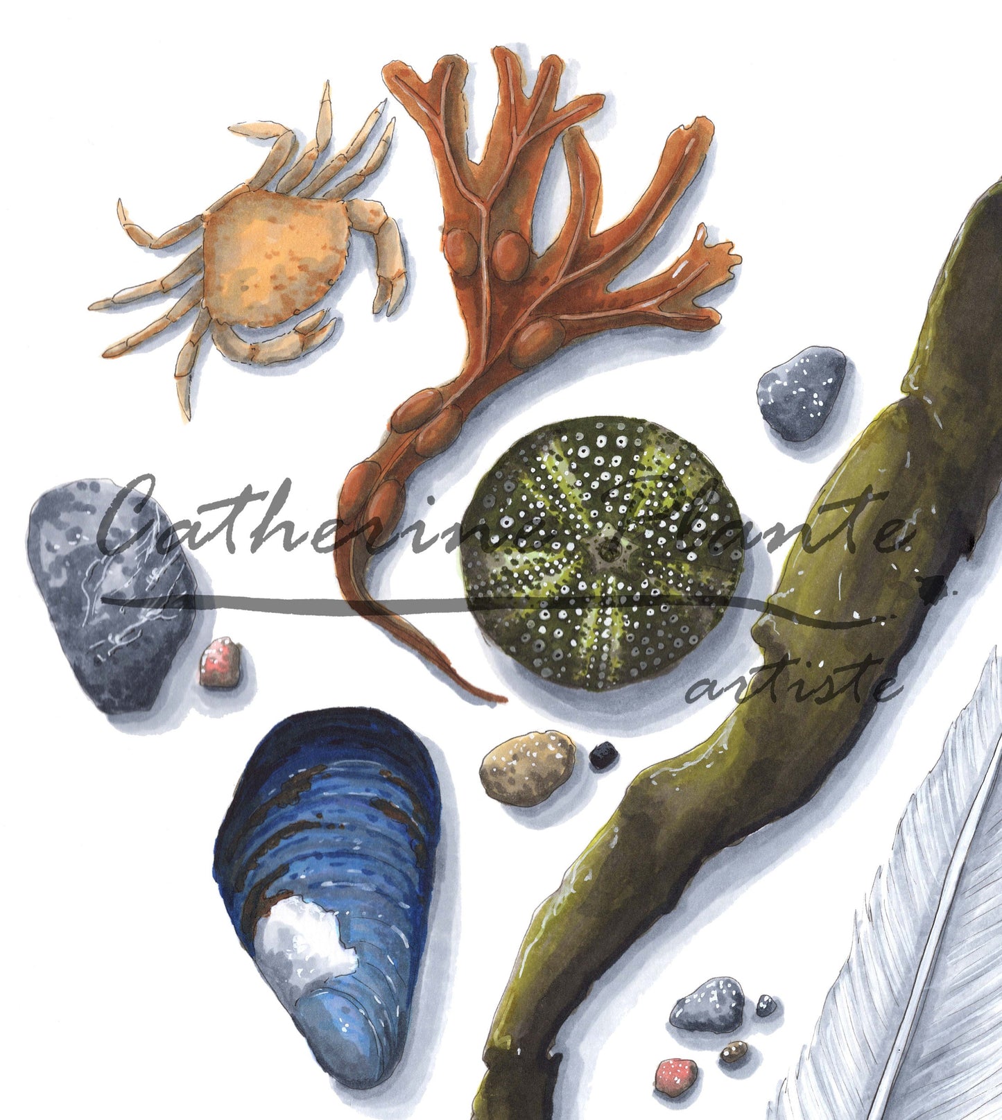 Large art print - Sea heart