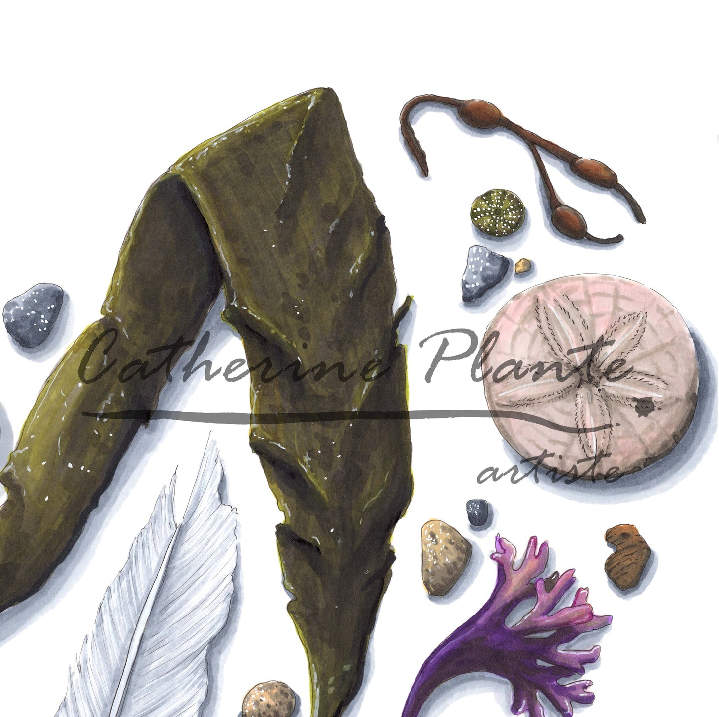 Large art print - Sea heart