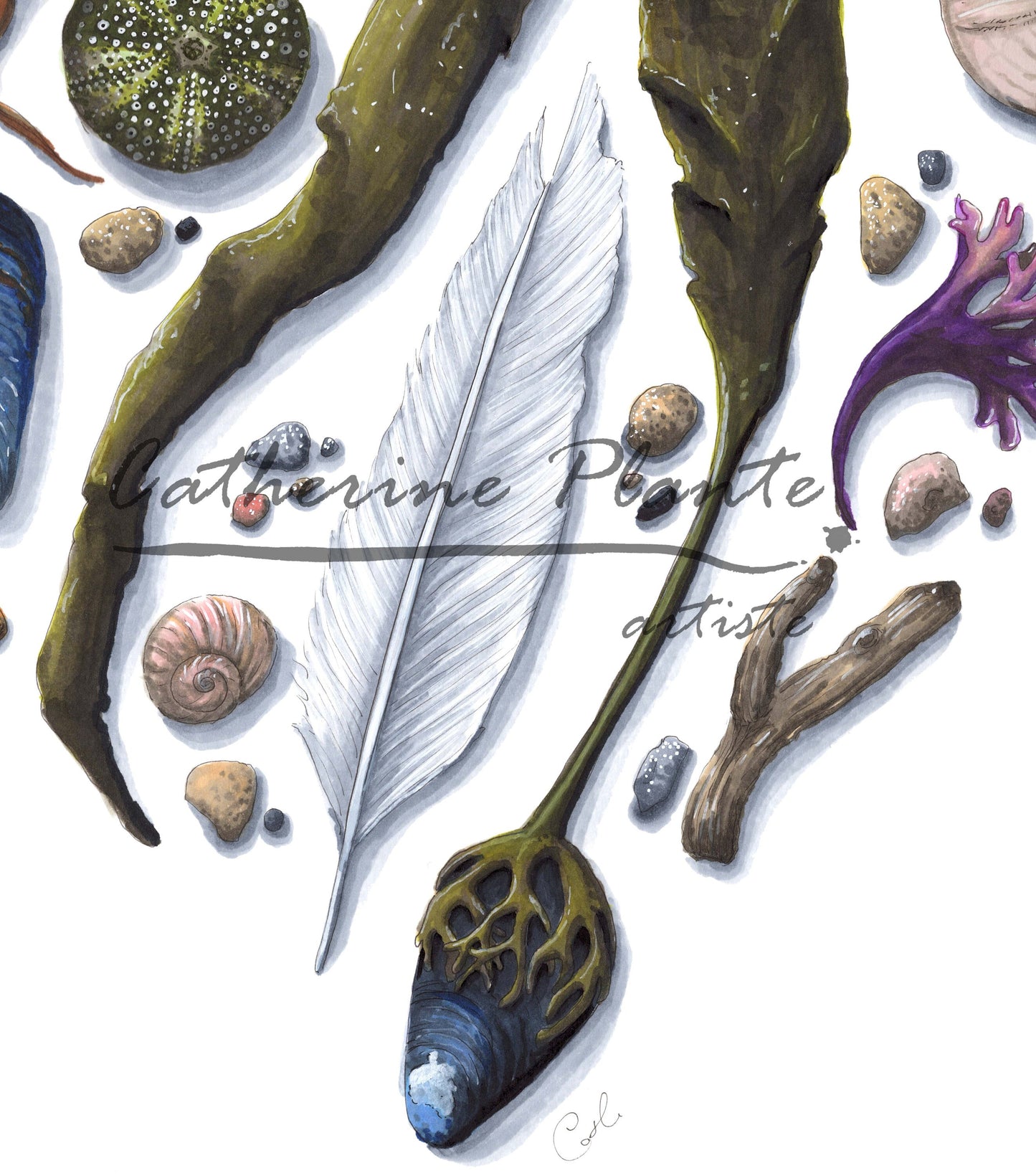 Large art print - Sea heart