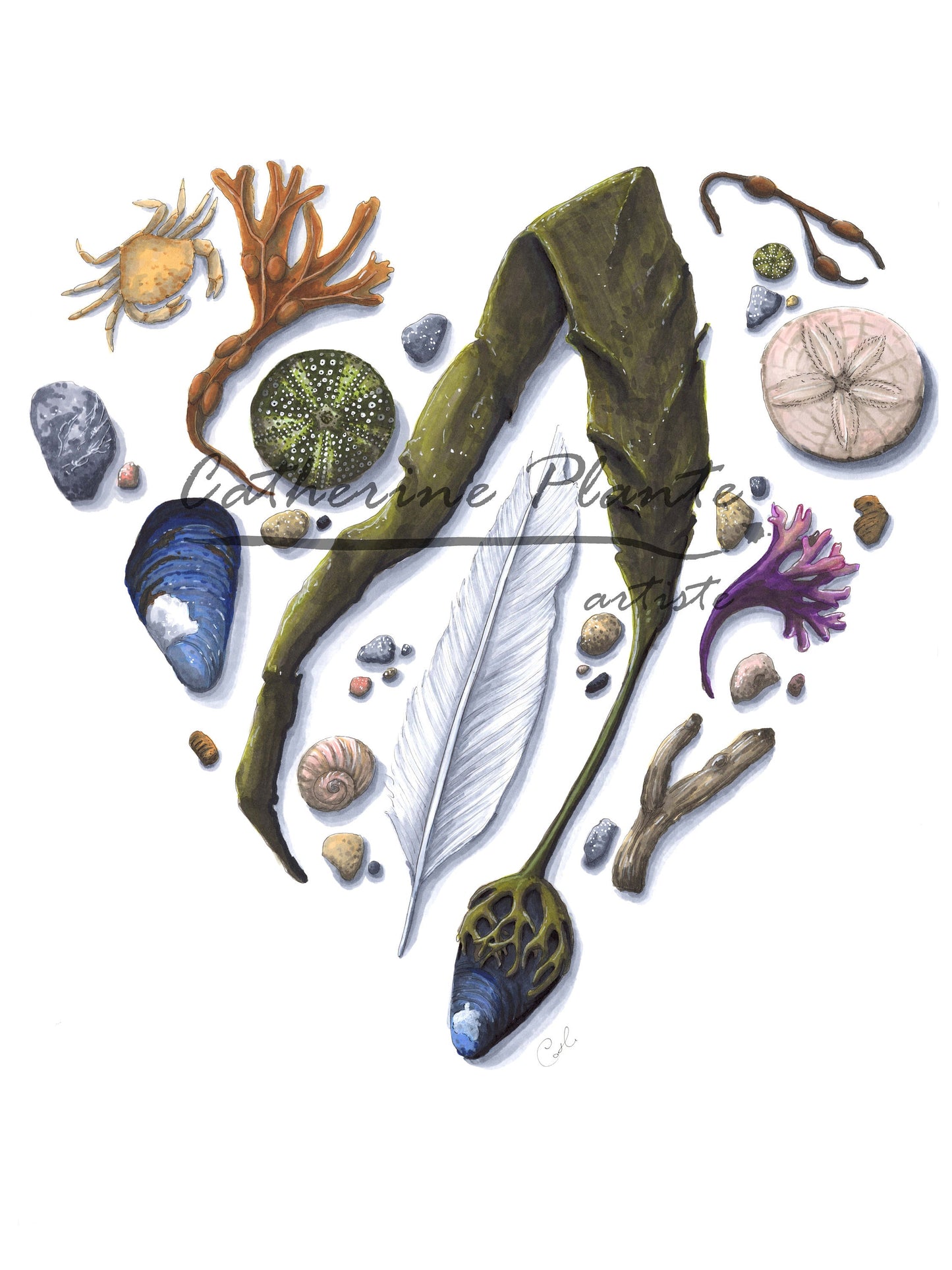 Large art print - Sea heart