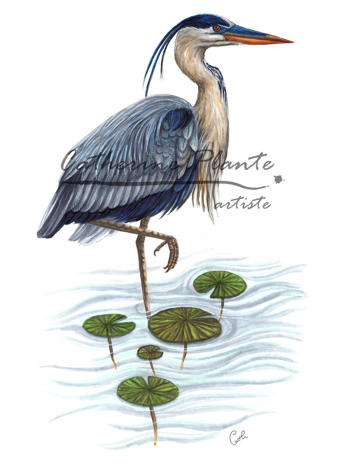 Large Art Print - Blue Heron