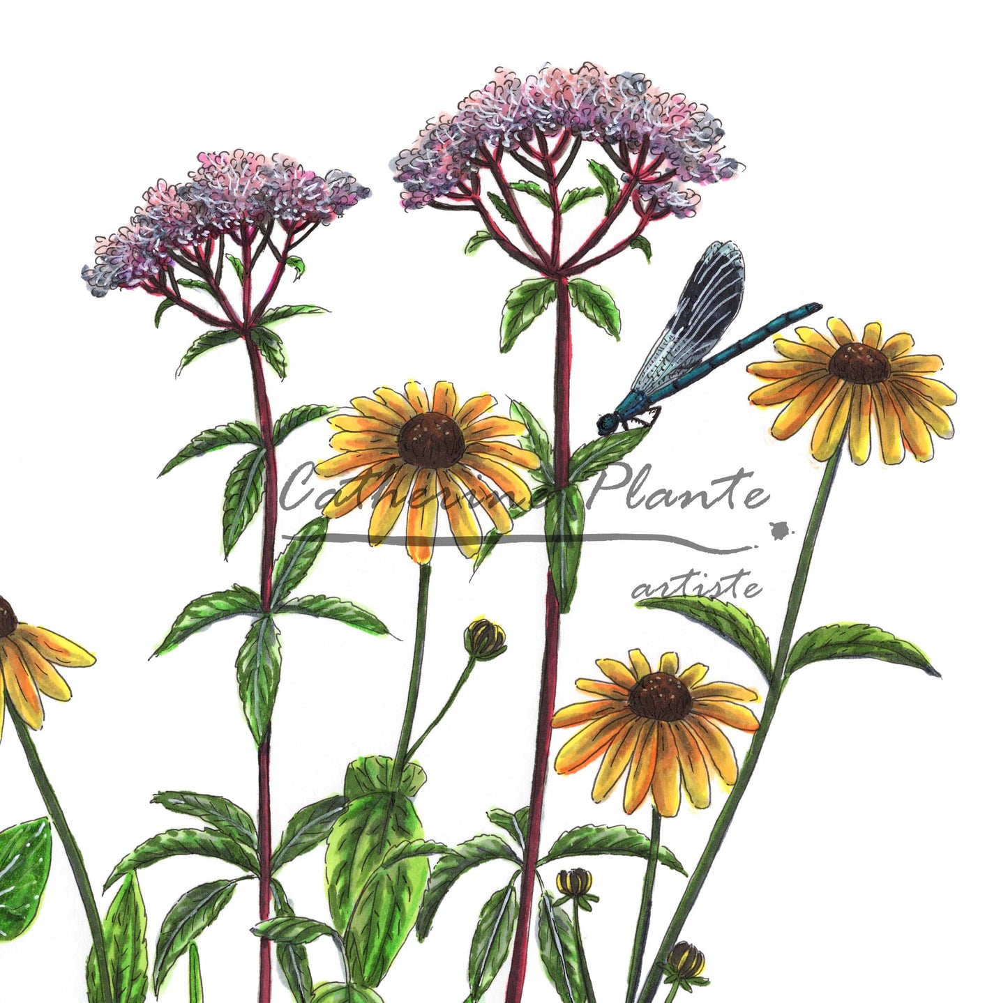Large Art Print - Kingfisher and Shore Flowers