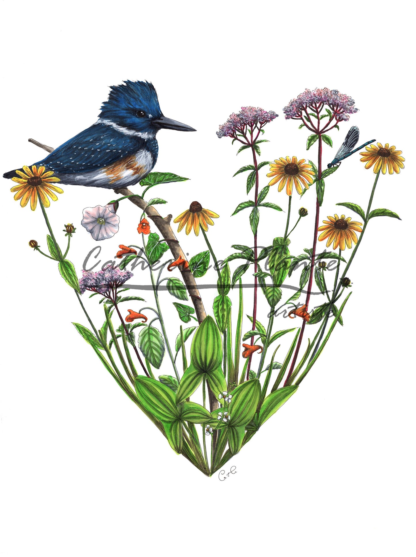 Large Art Print - Kingfisher and Shore Flowers