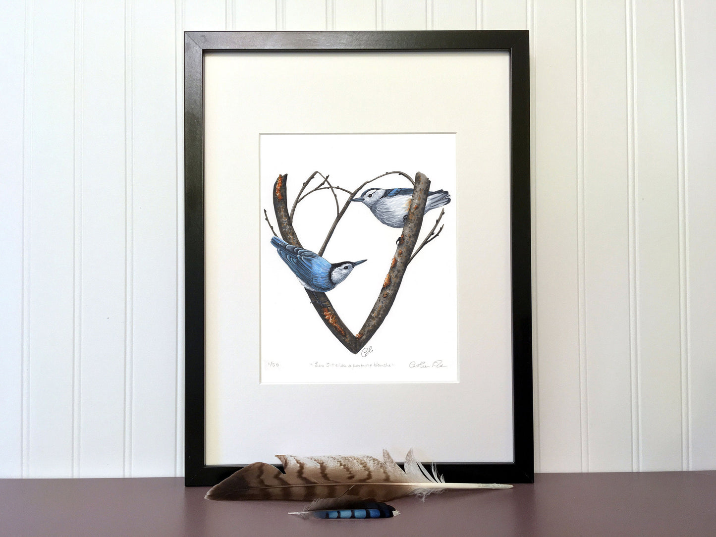 Art Print - White-breasted Nuthatches