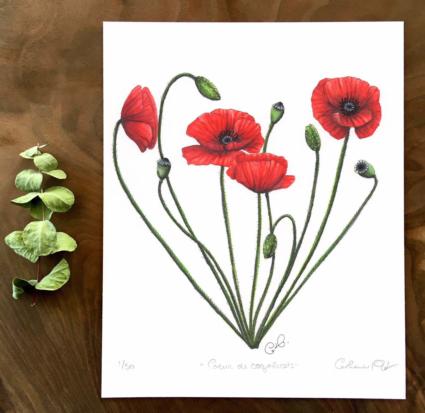 Art Print - Poppy Heart