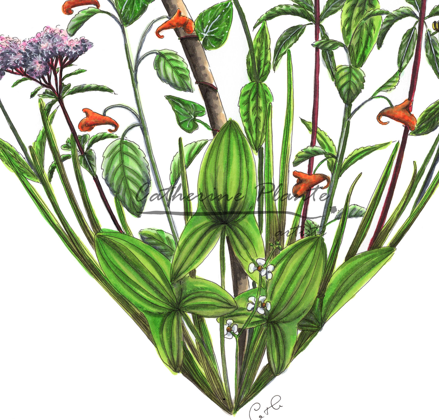 Large Art Print - Kingfisher and Shore Flowers